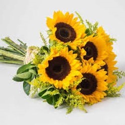 IMG-20250526-WA0097