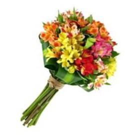 IMG-20250526-WA0099
